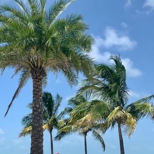 Meet your Posher, Devon